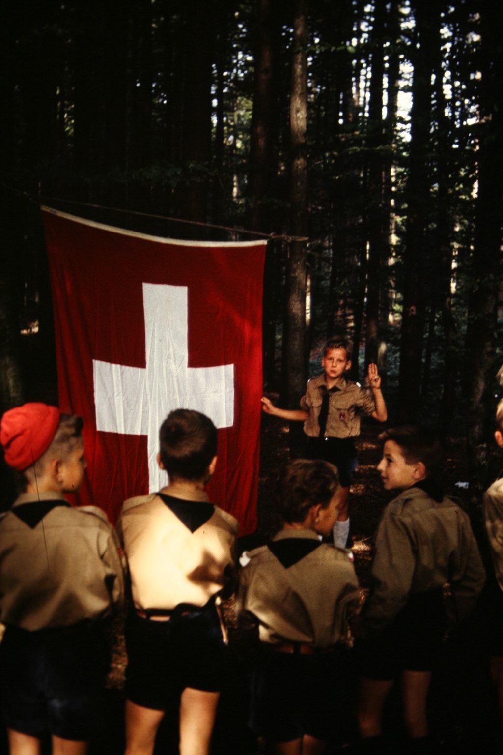 Bild 3