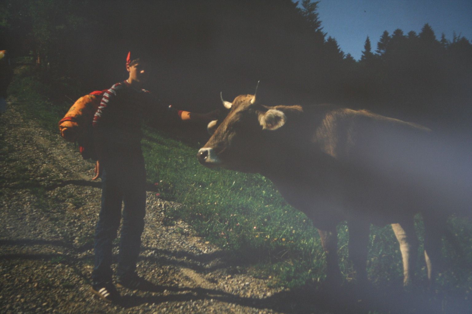 Bild 15