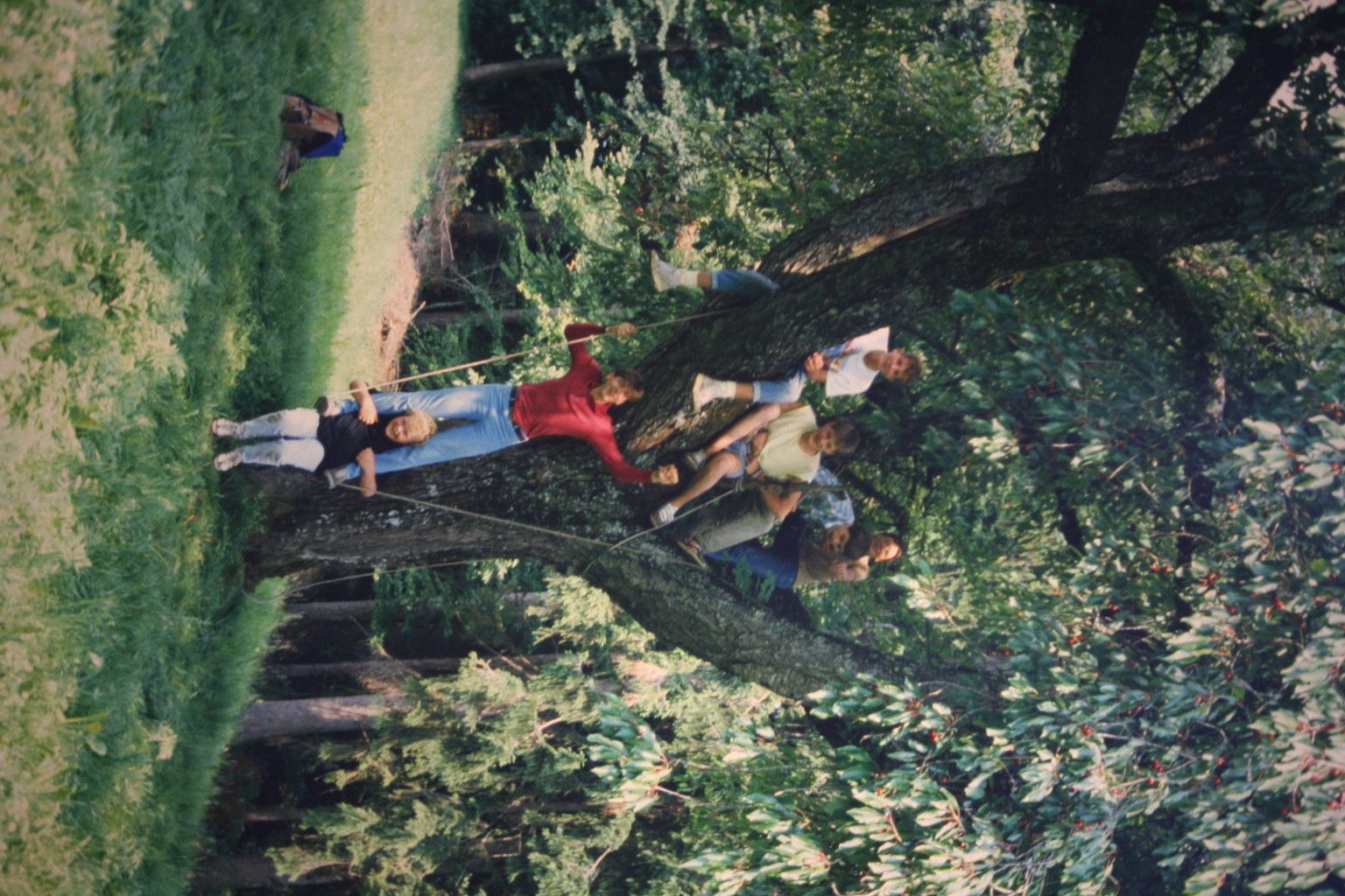 Bild 89