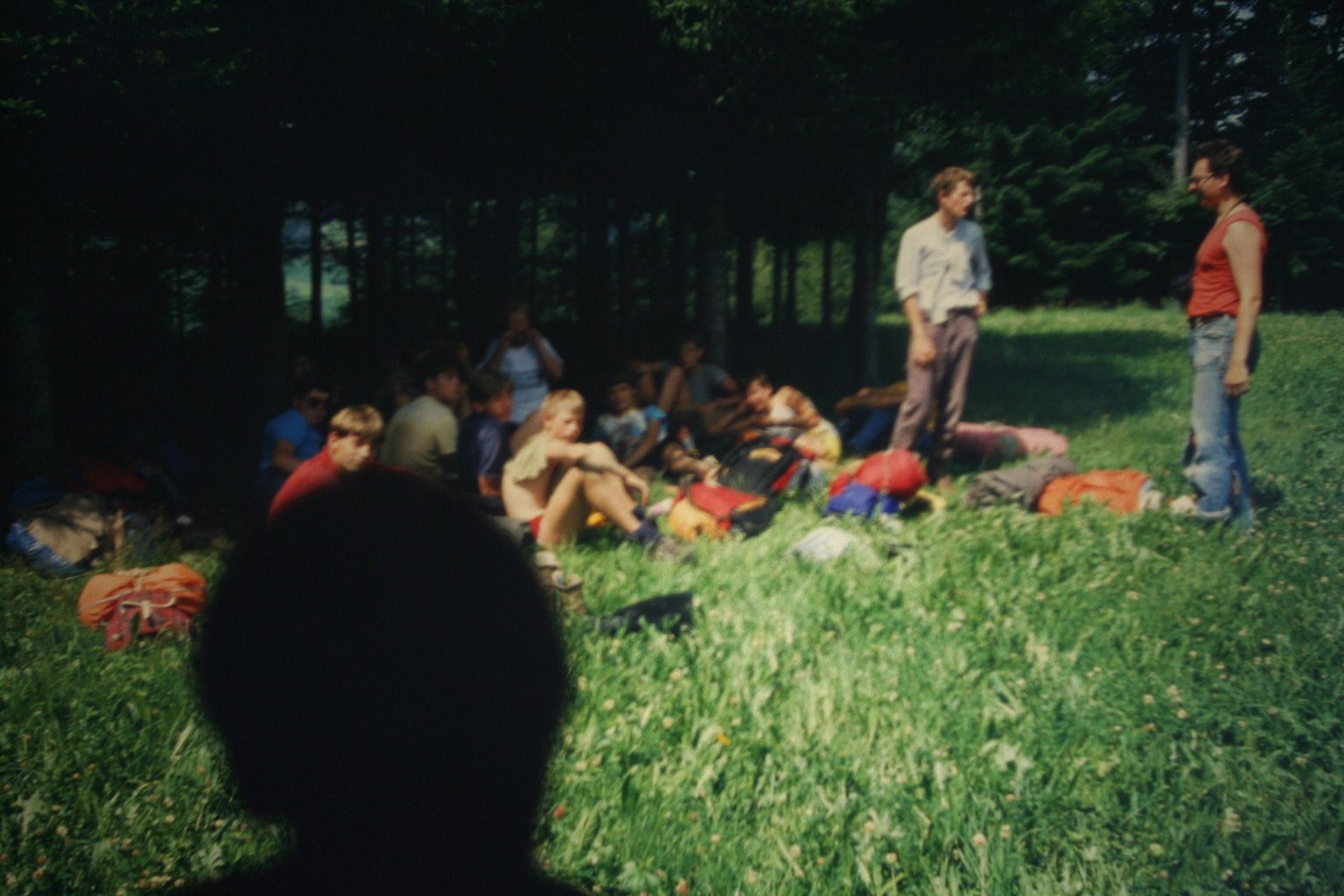 Bild 131