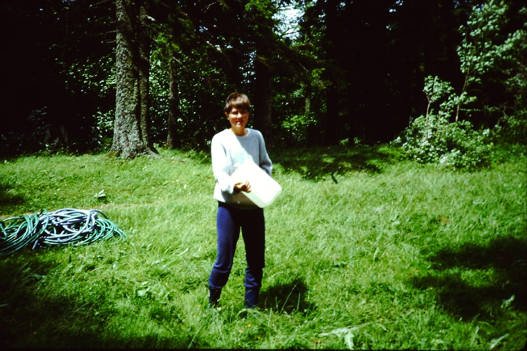 Bild 12