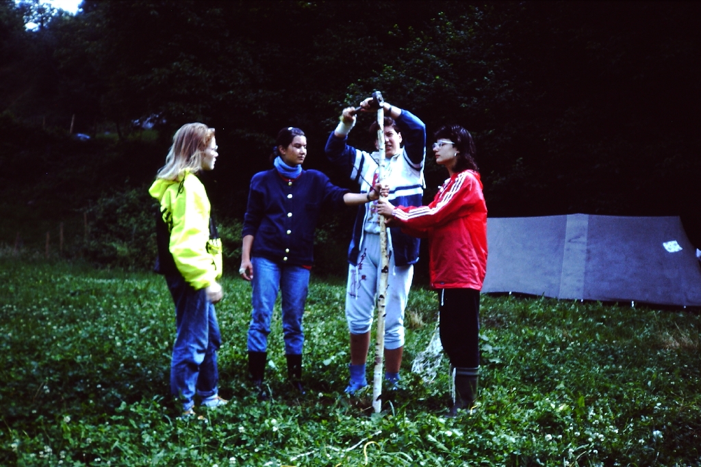 Bild 7
