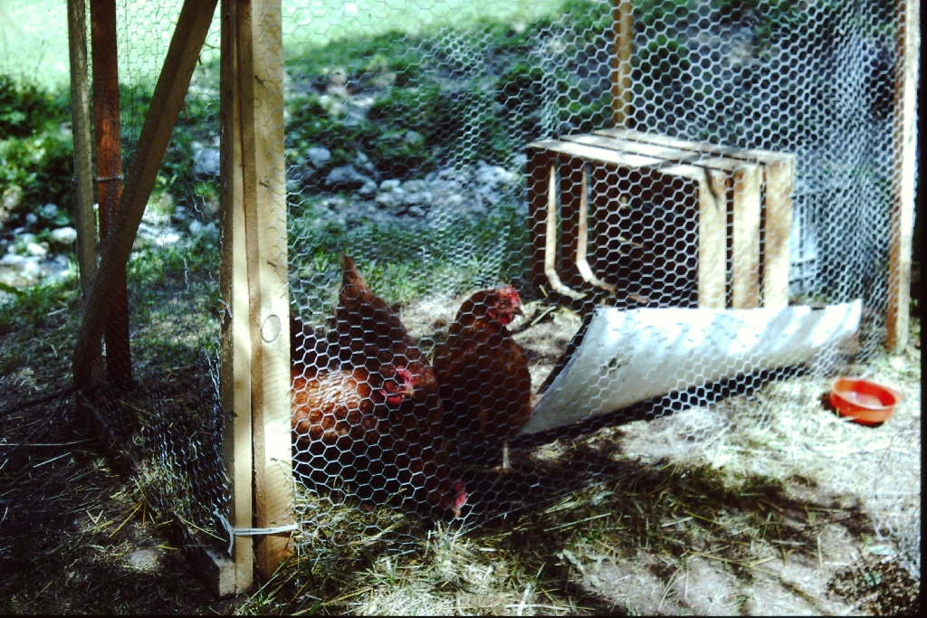 Pfadilager-Sangenboden