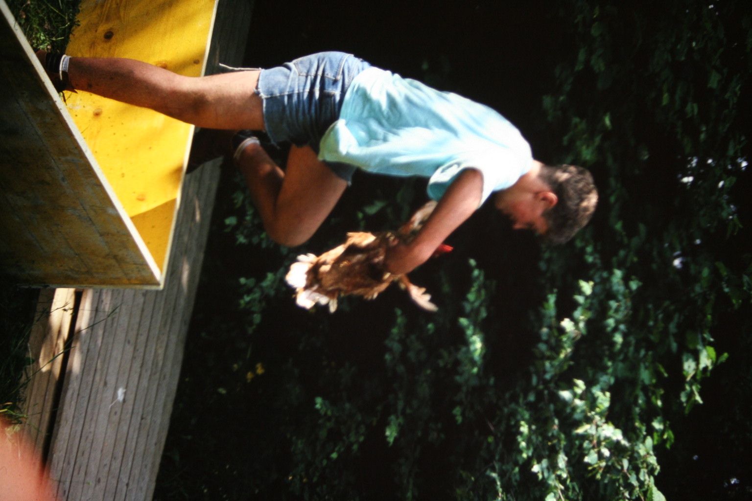 Bild 13