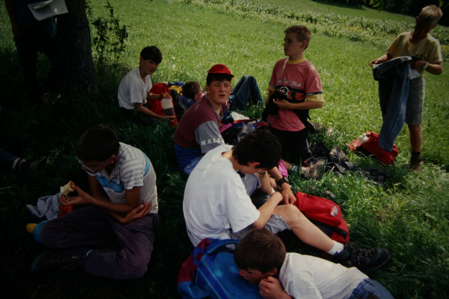 Bild 7
