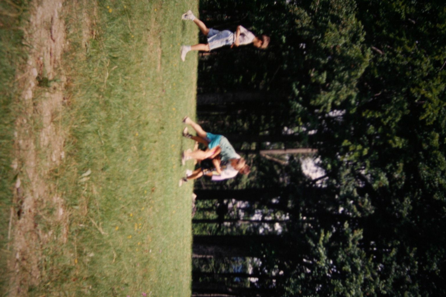 Bild 41