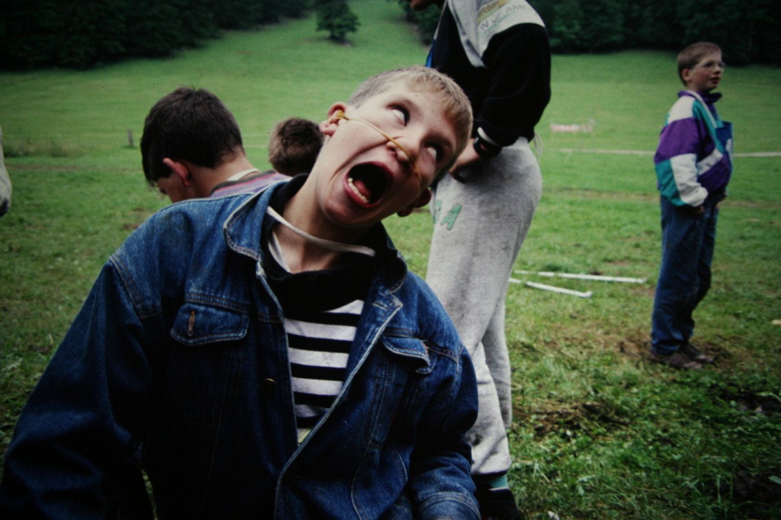 Bild 102