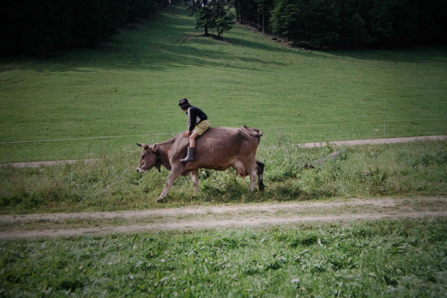 Bild 108