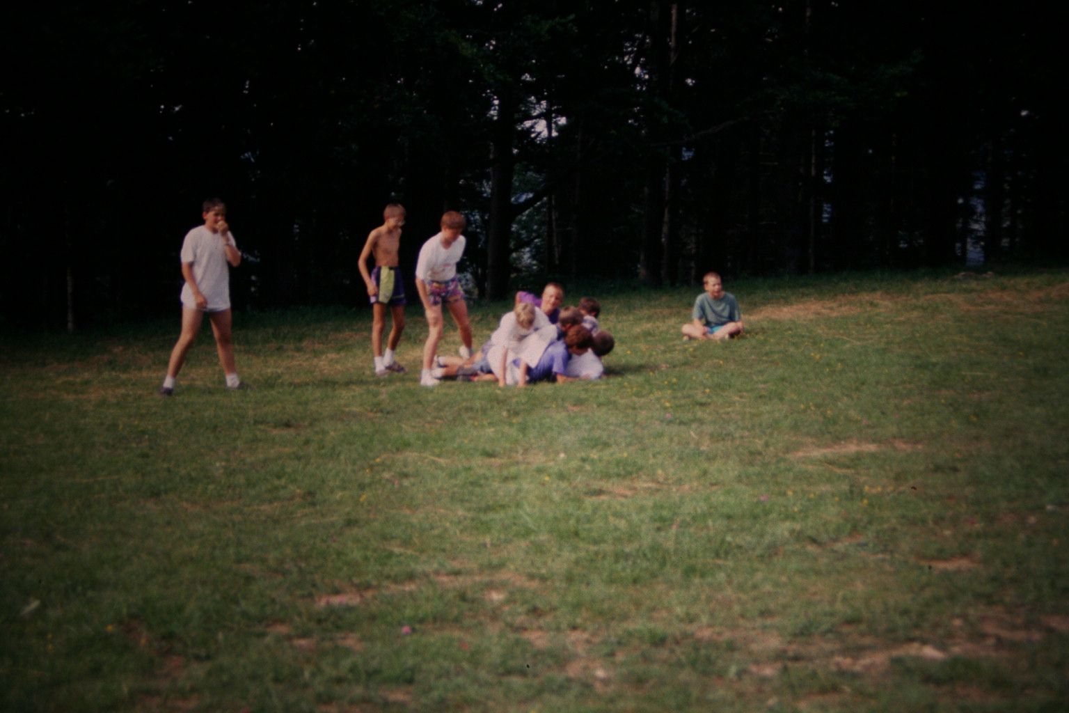 Bild 121