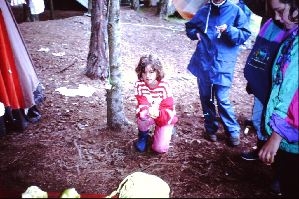 Bild 12
