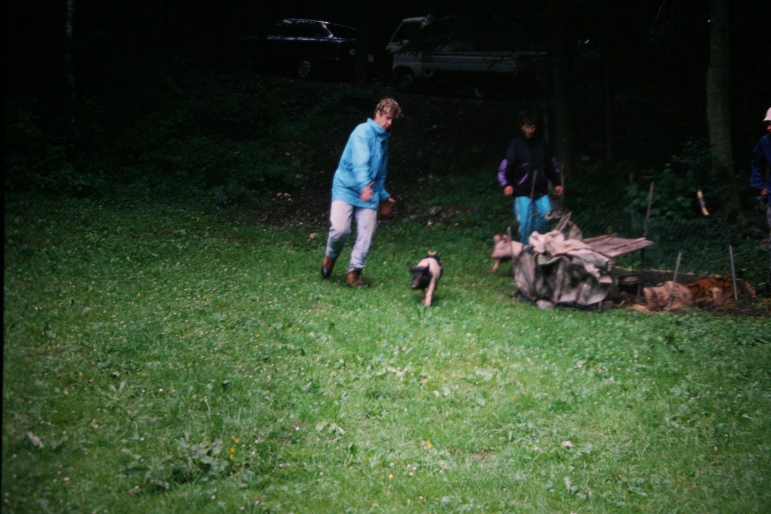 Bild 43