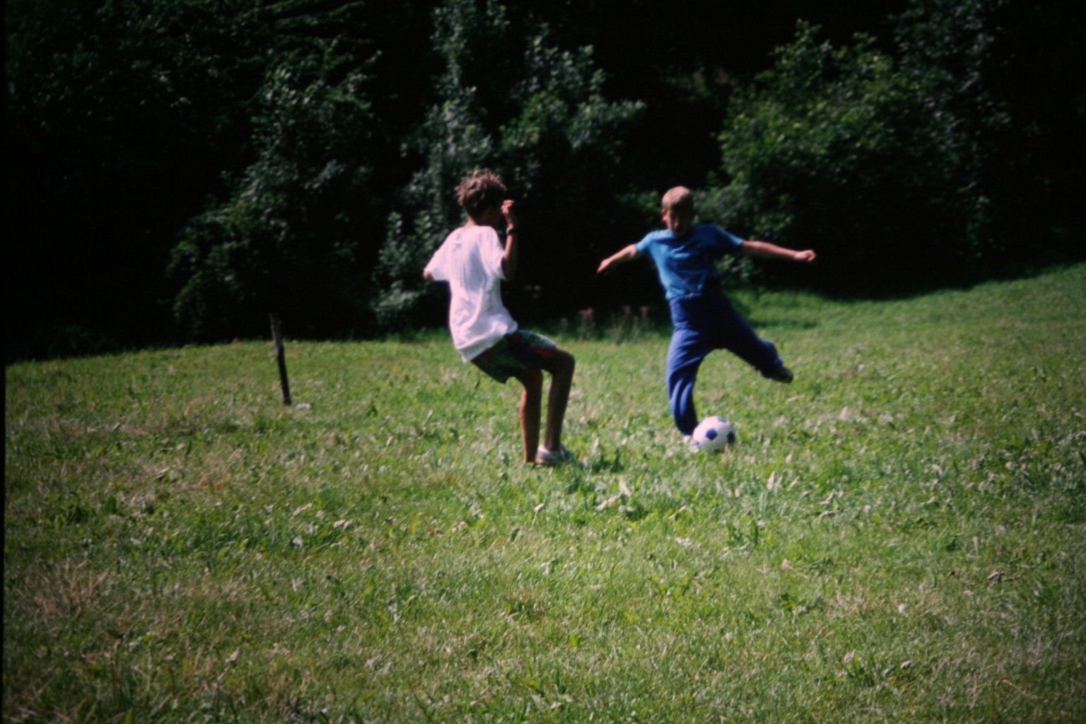 Bild 51