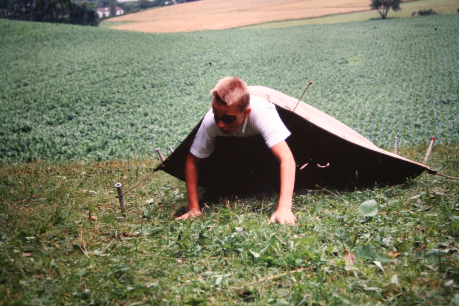 Bild 96
