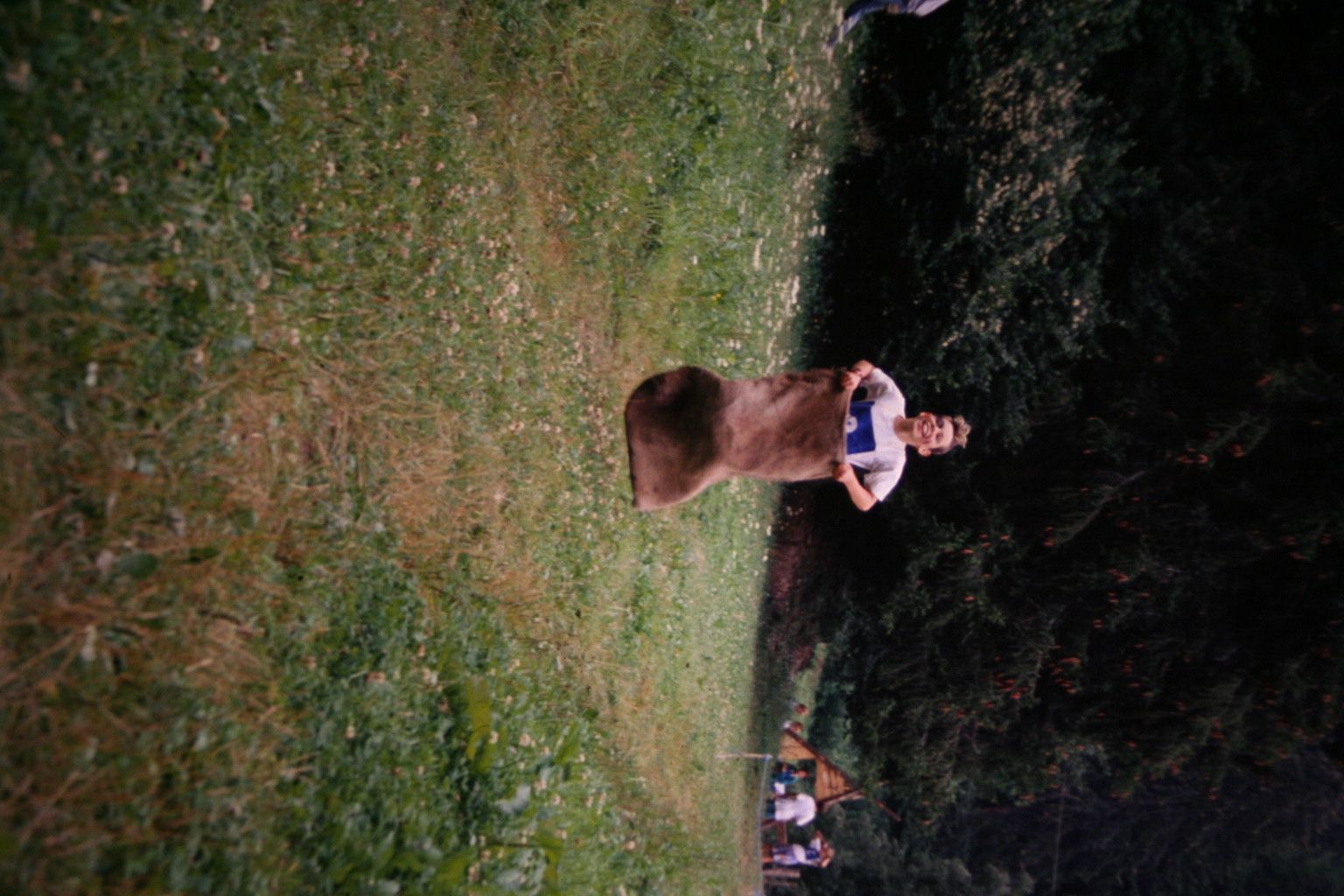 Bild 97