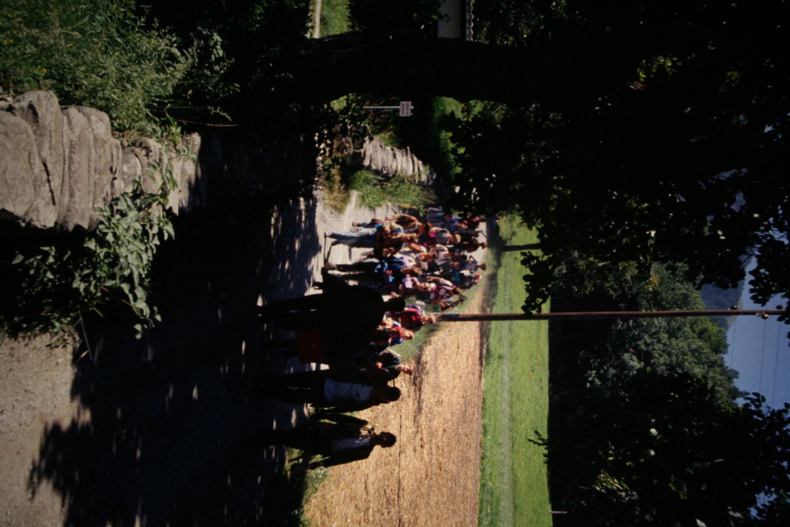 Bild 115