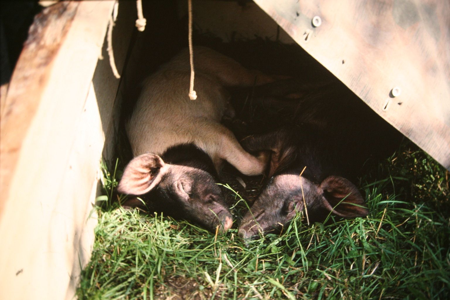 Bild 28