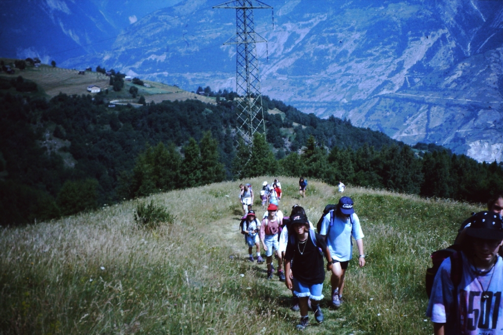 Bild 12