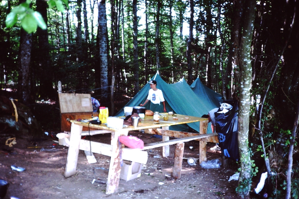 Bild 15