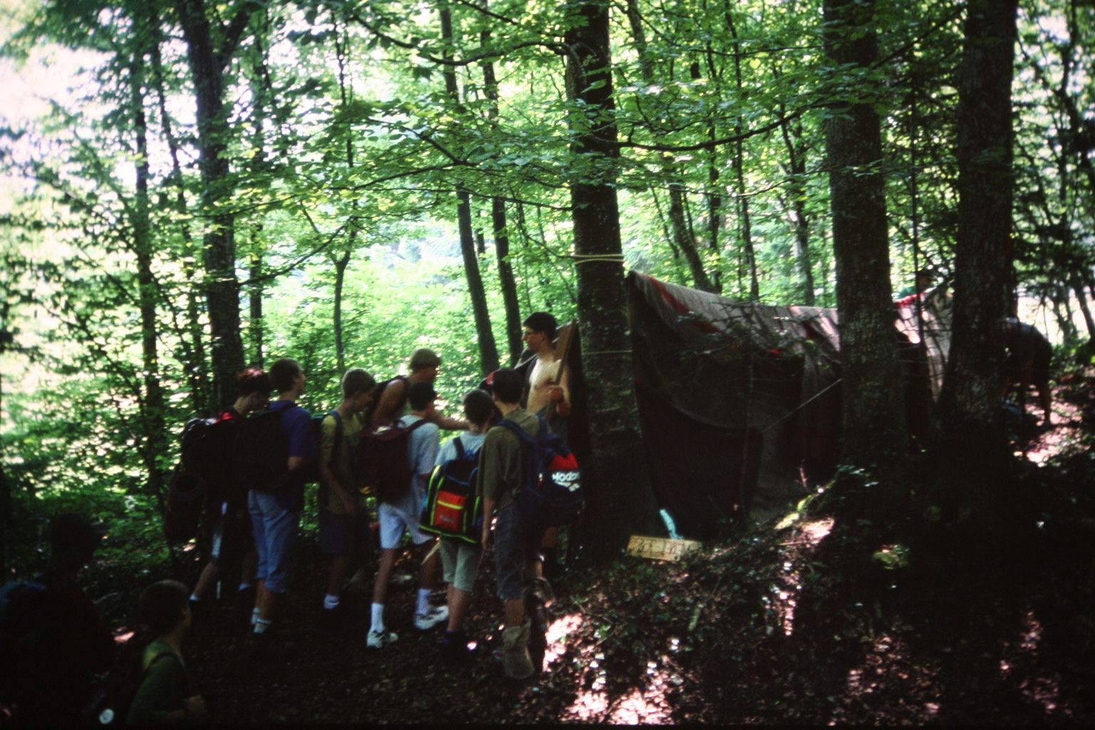 Bild 141