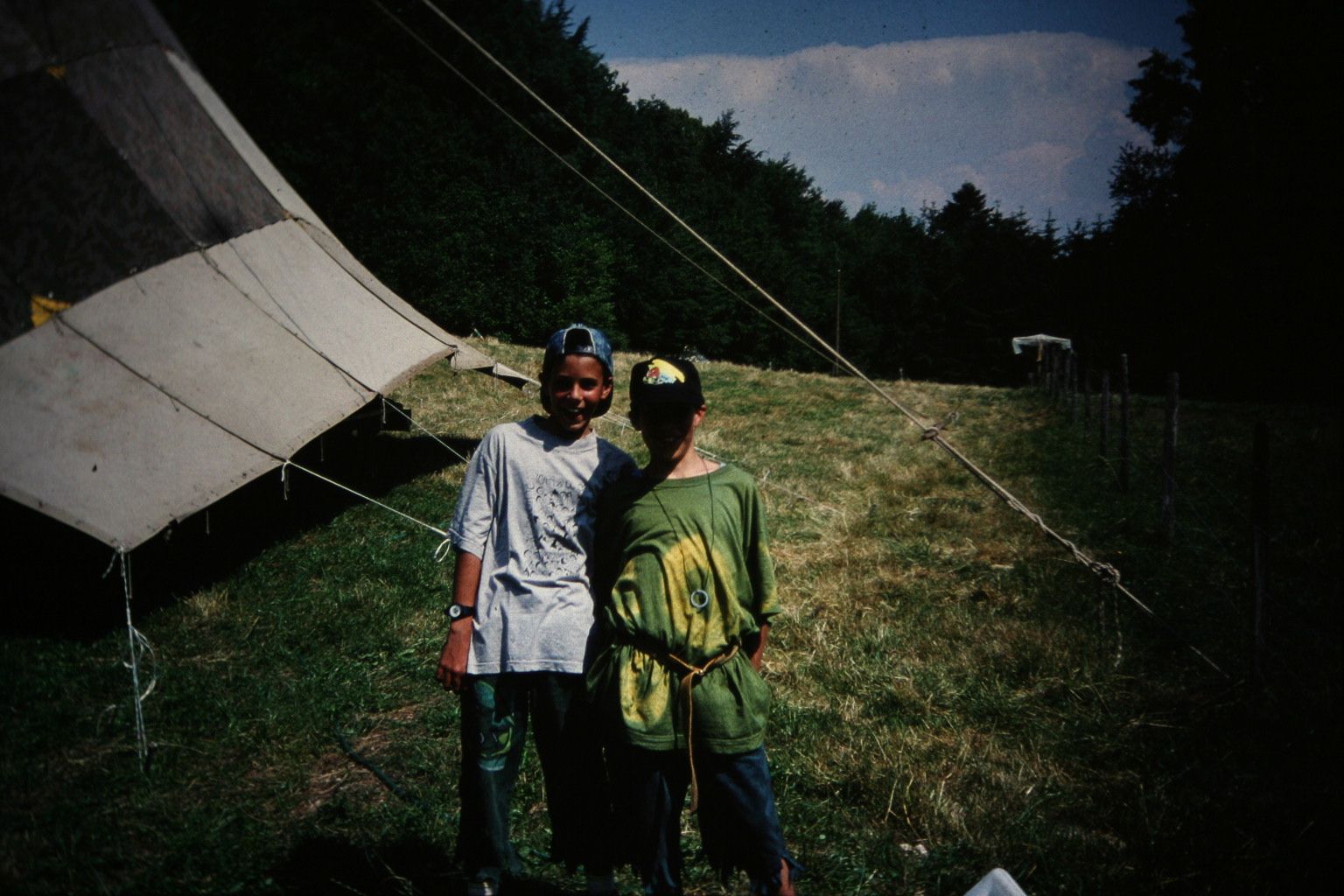 Bild 203