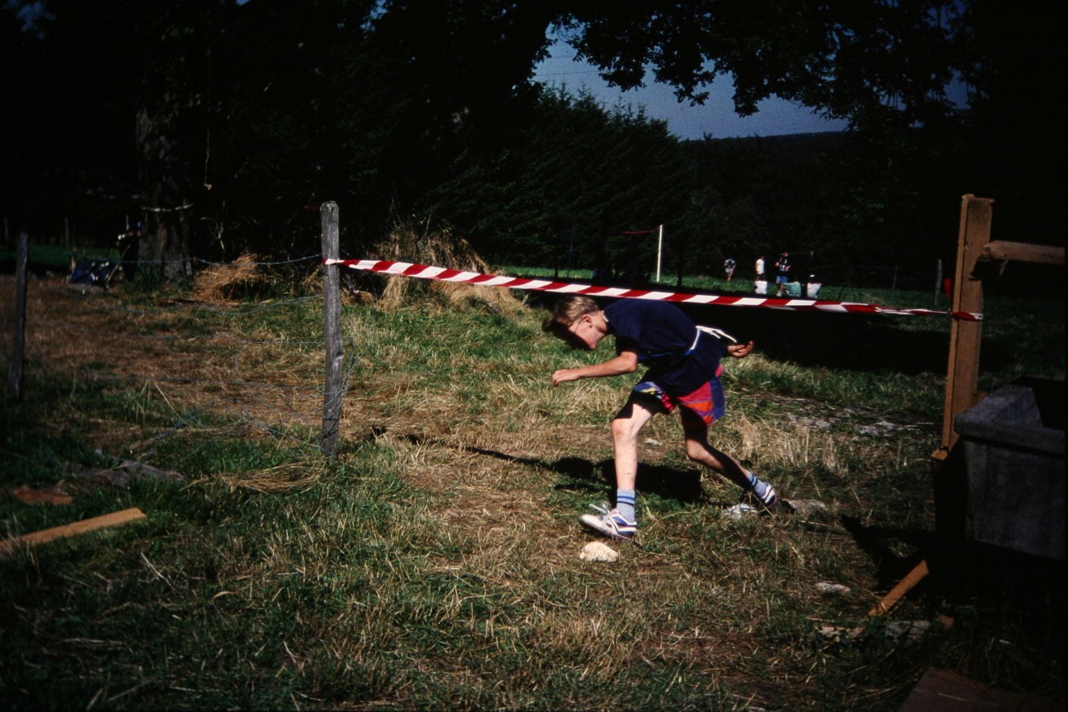 Bild 206