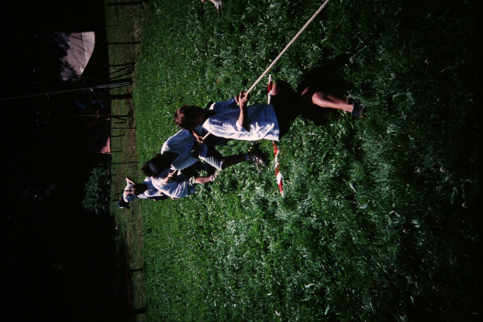 Bild 221