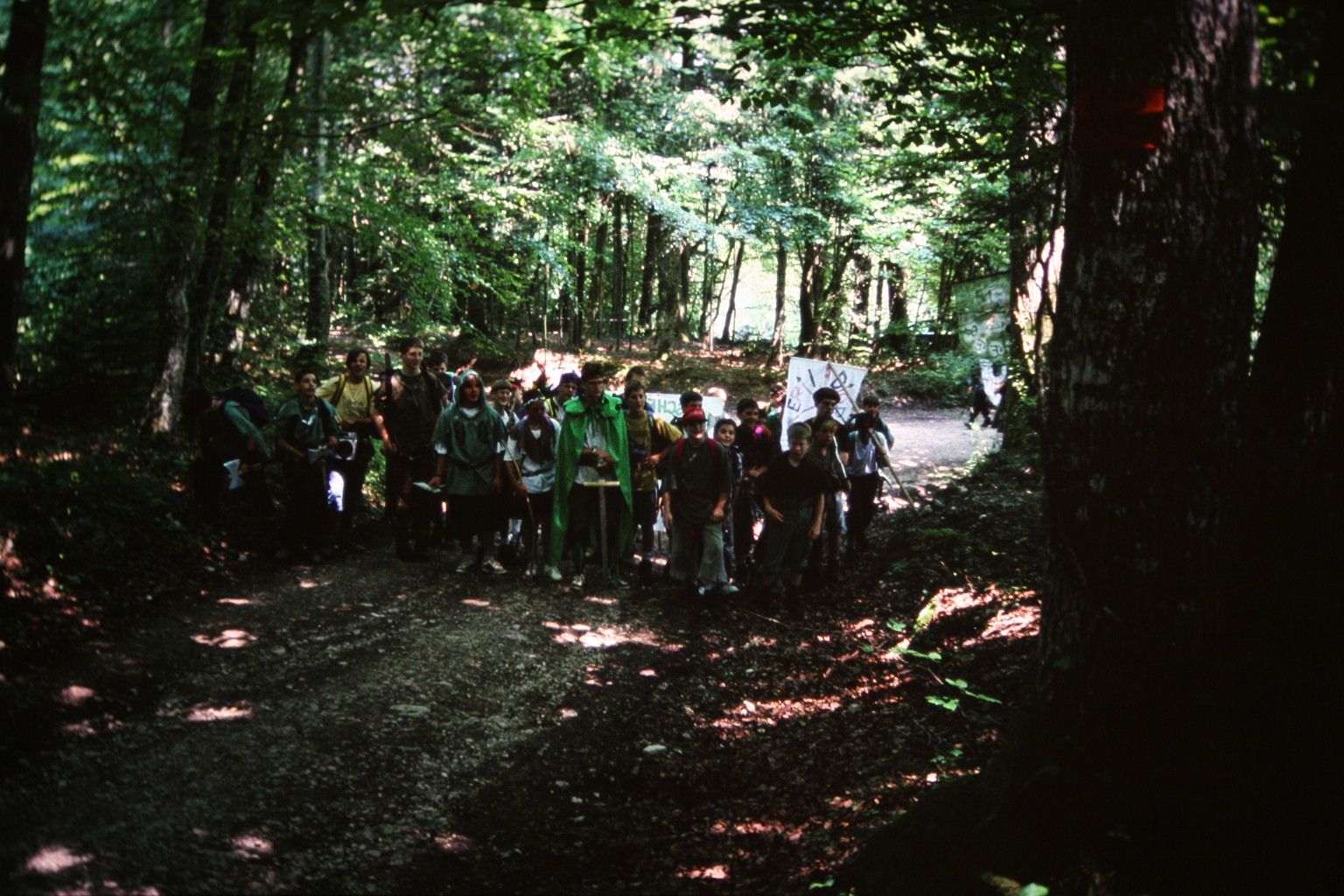 Bild 232