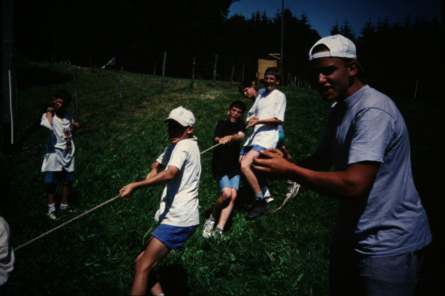 Bild 252