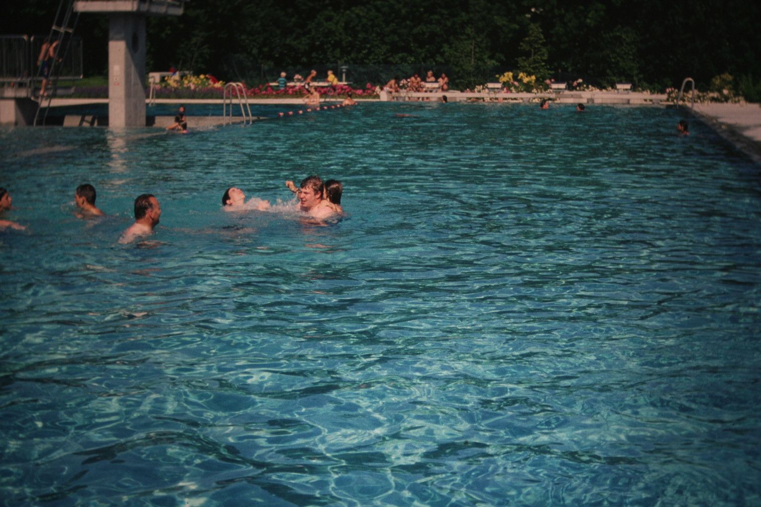 Bild 113