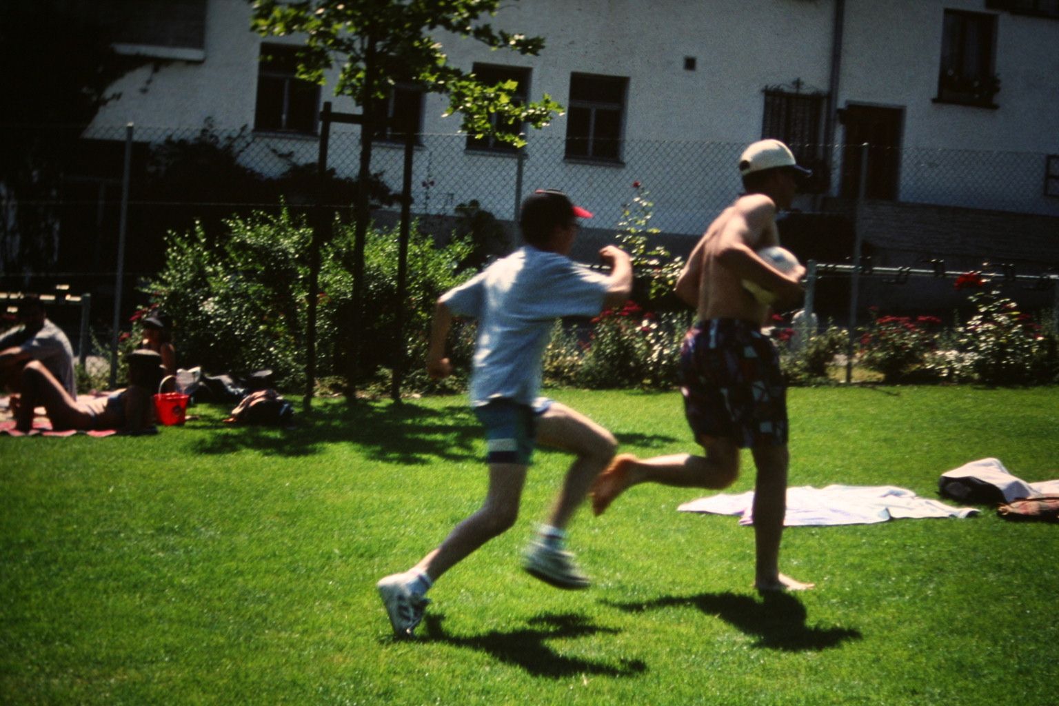 Bild 168