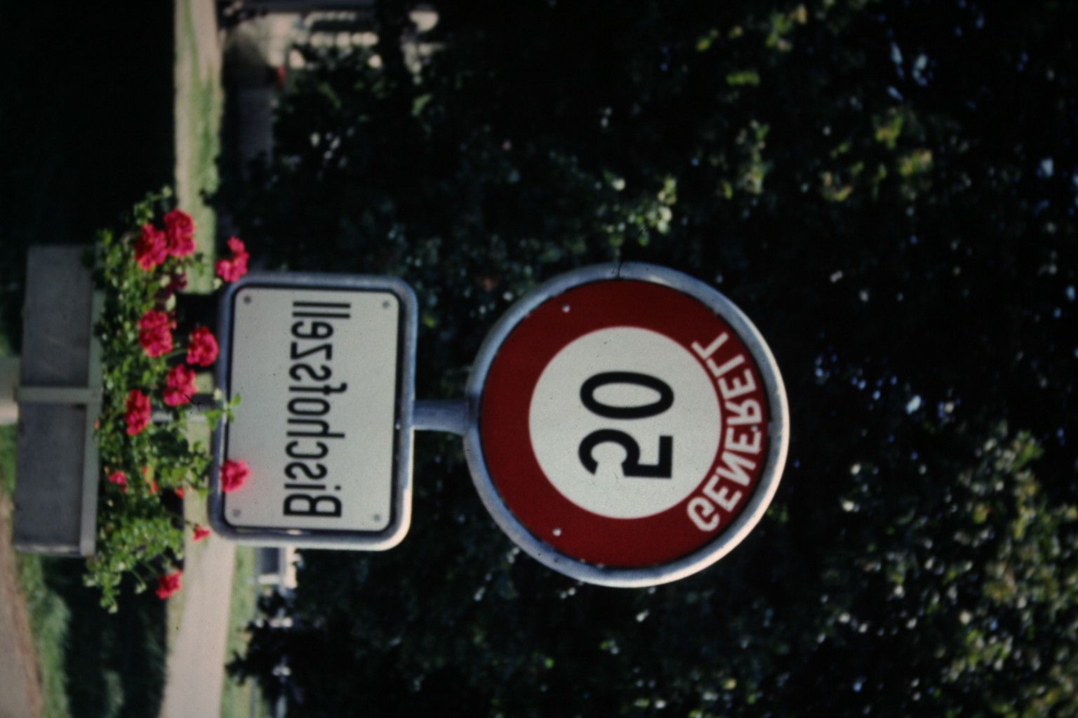Bild 186