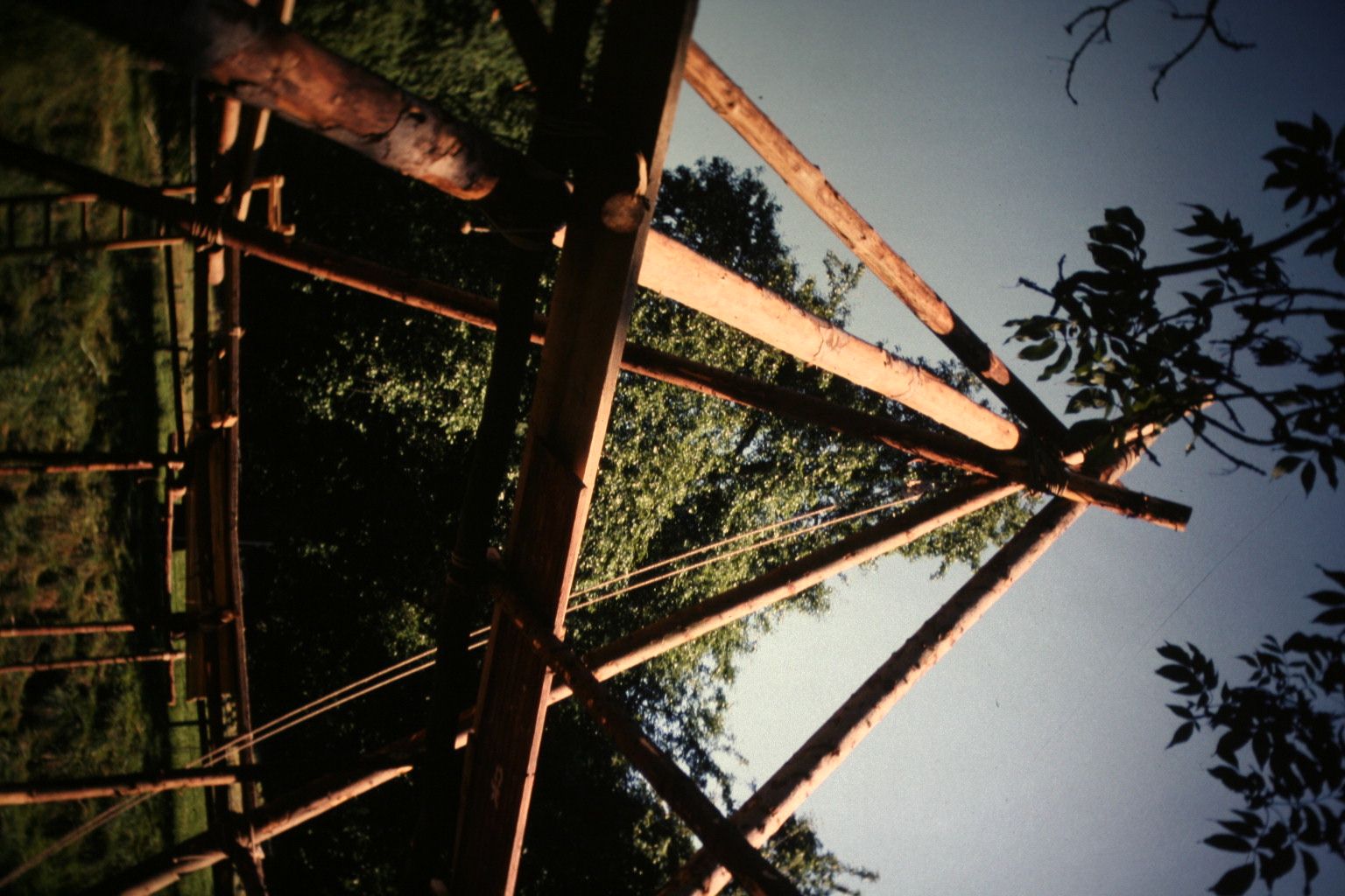 Bild 187