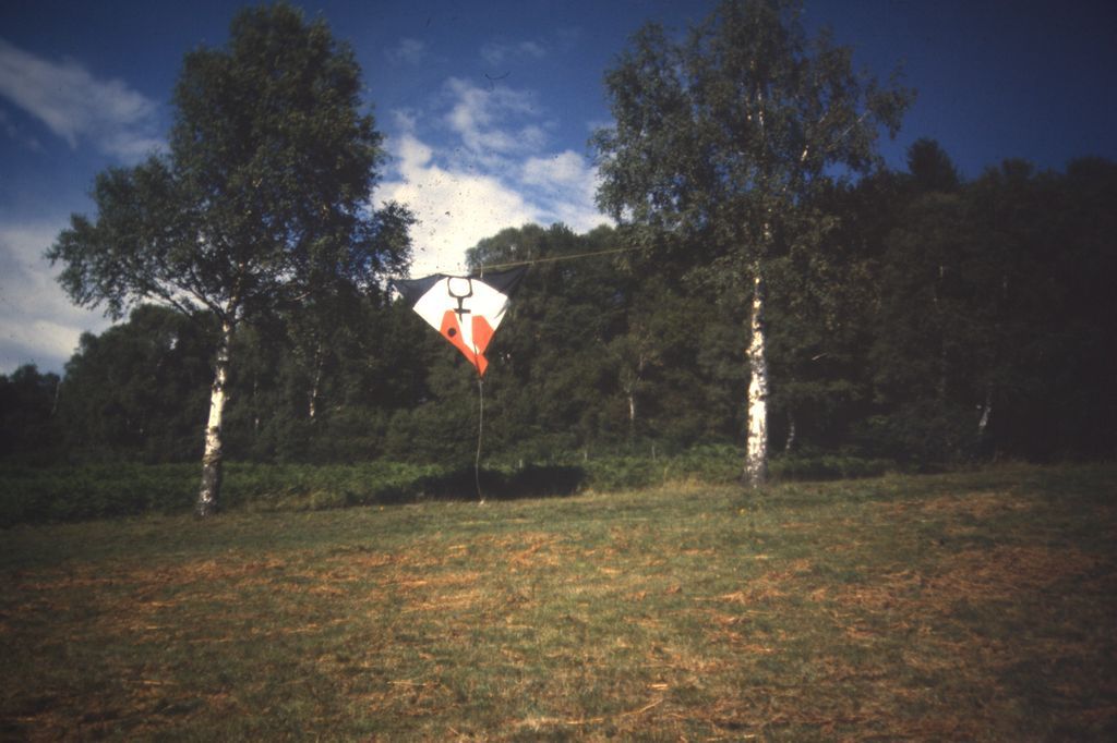 Bild 44