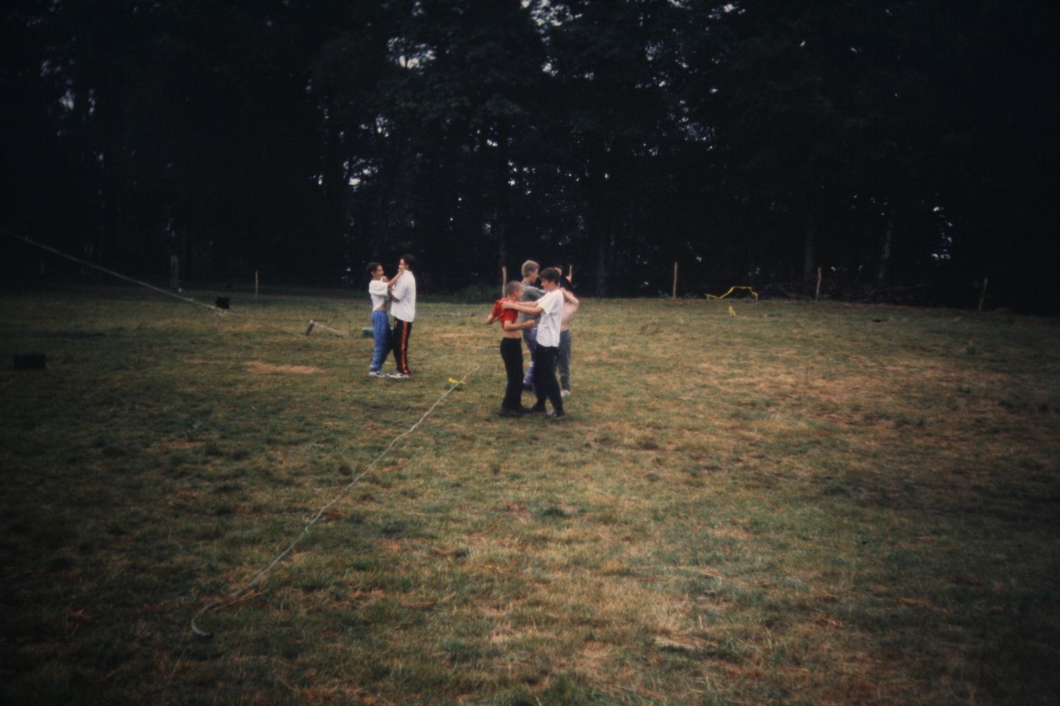 Bild 41