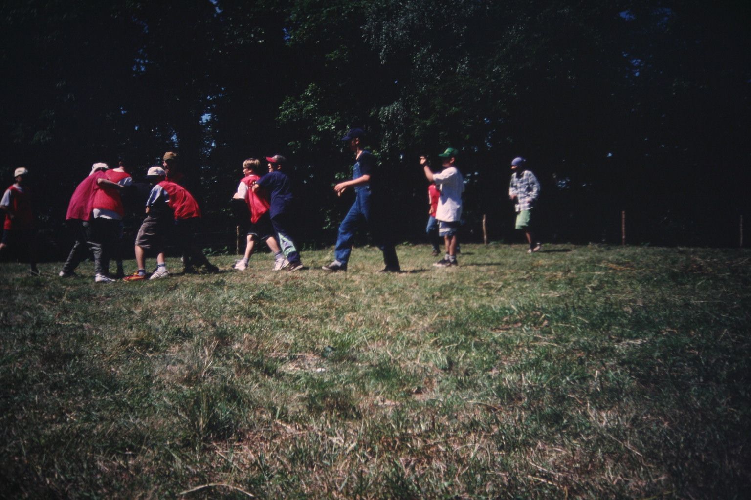 Bild 100