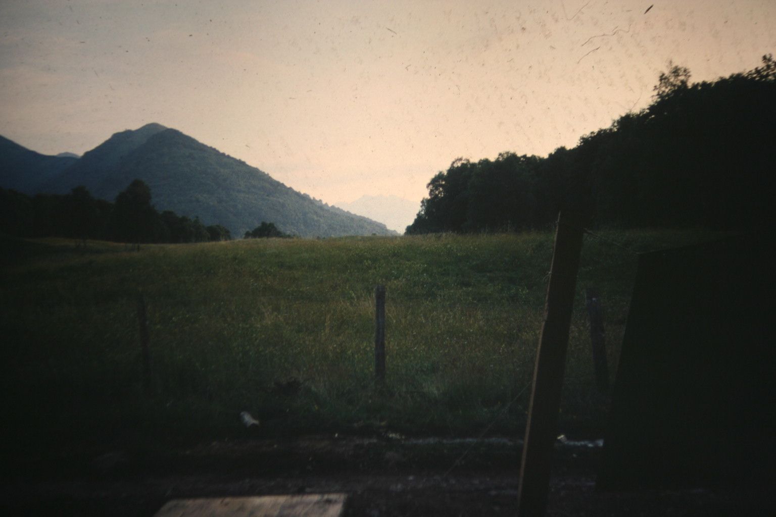 Bild 182