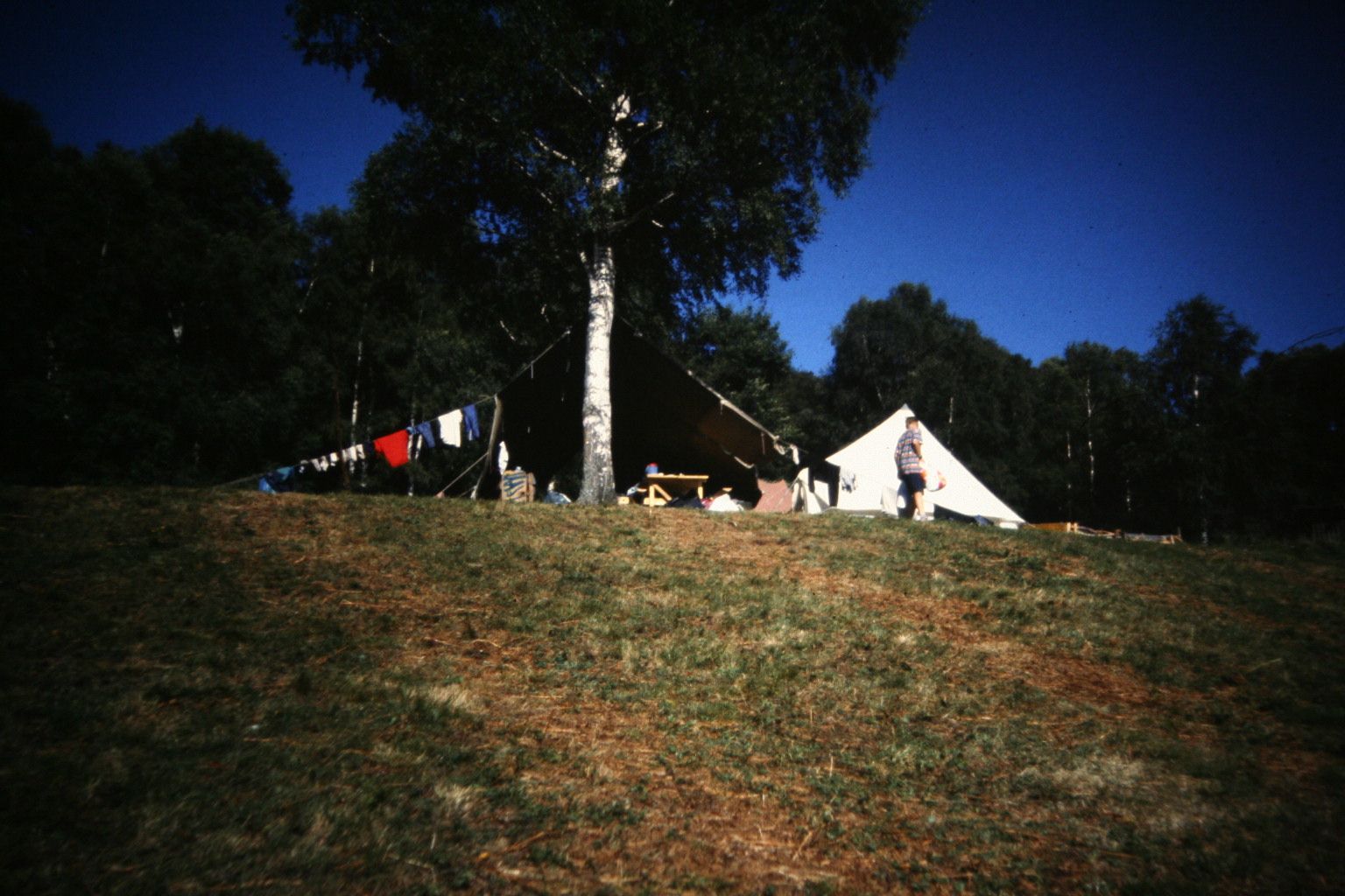 Bild 204