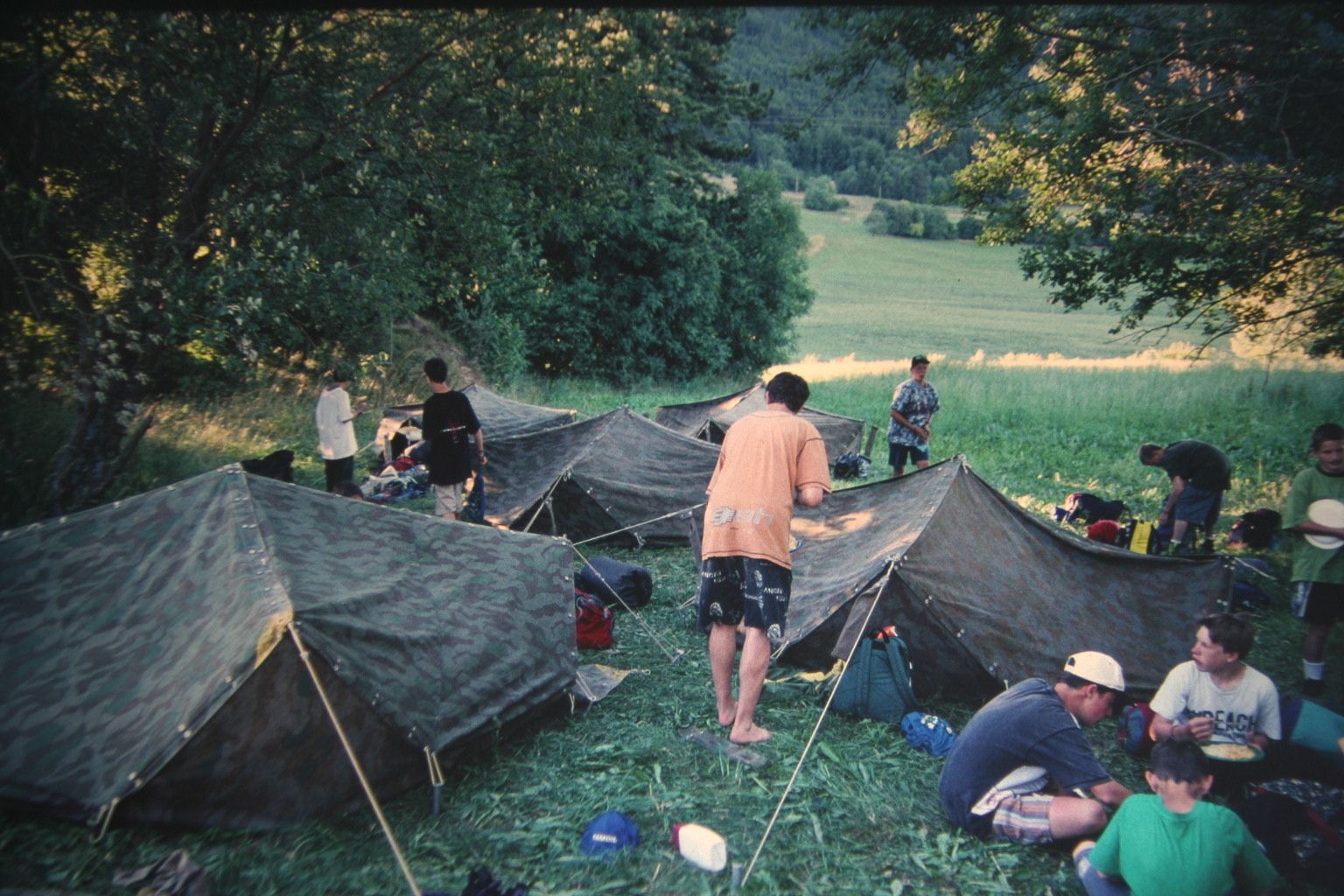 Bild 81