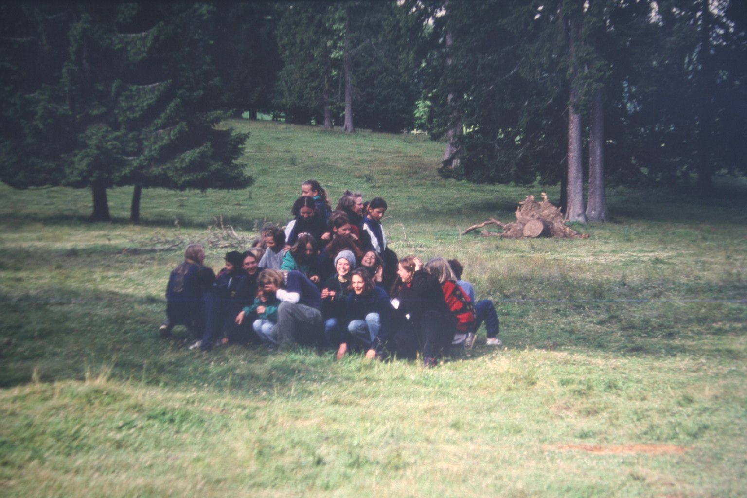 Bild 94
