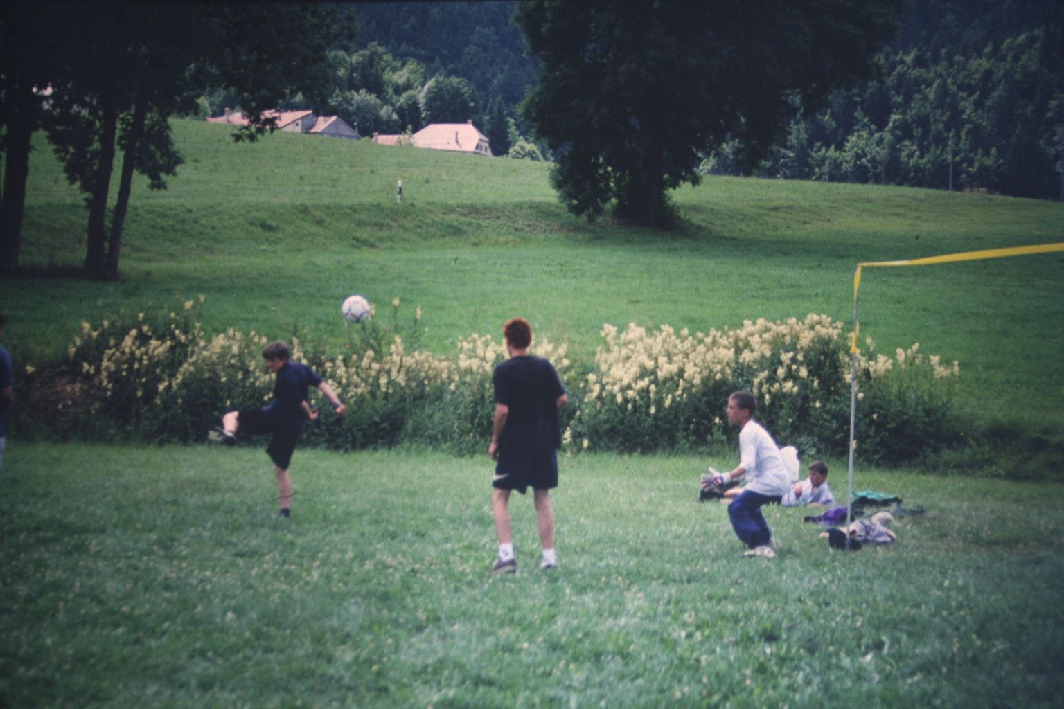 Bild 100