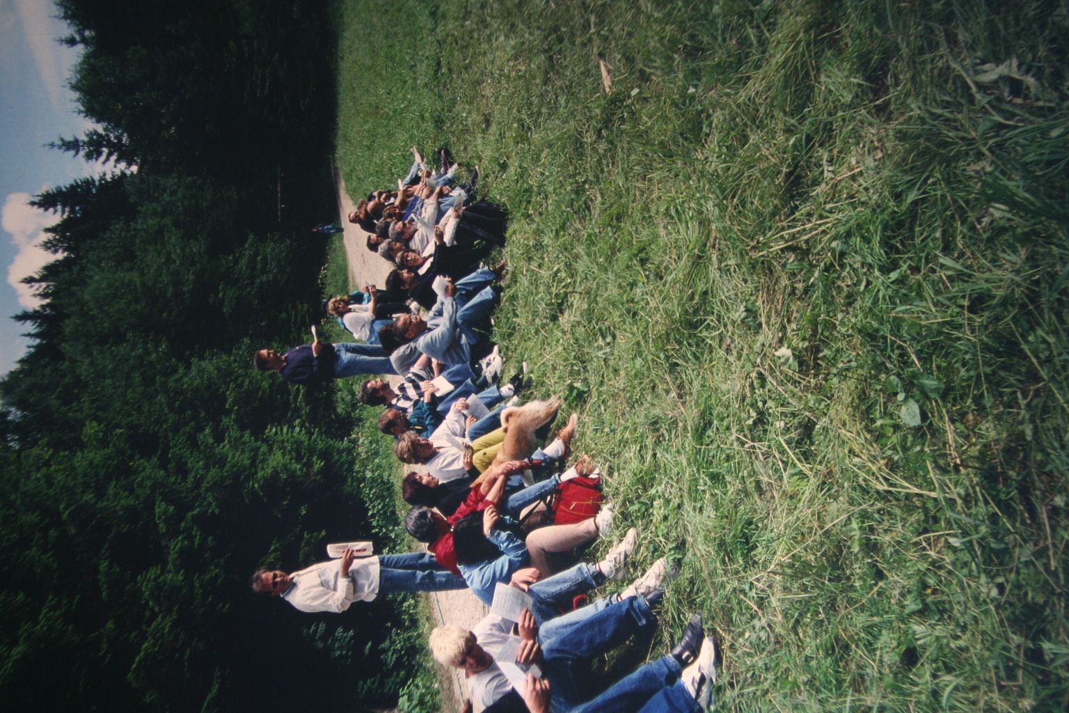 Bild 161