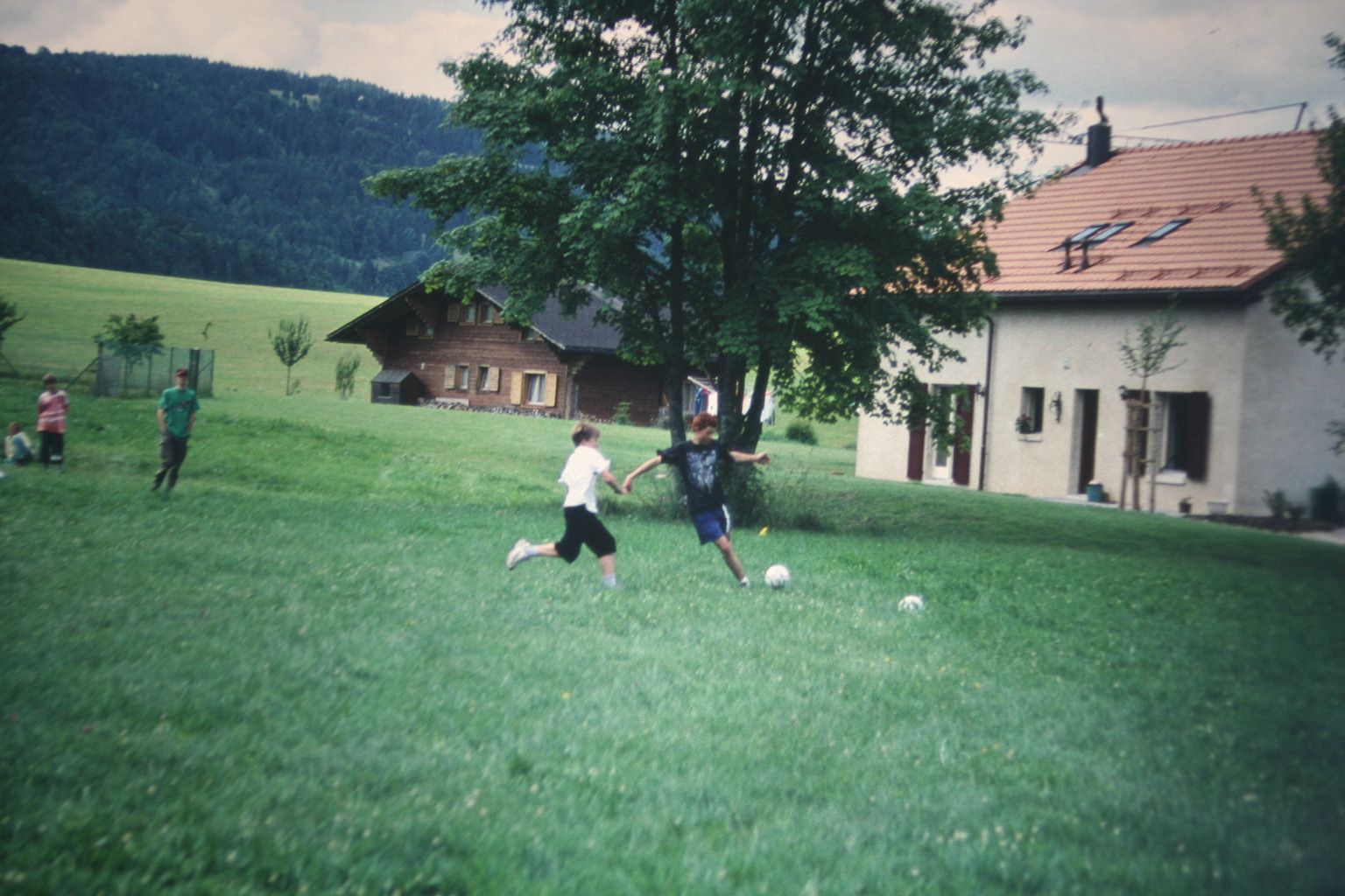 Bild 190