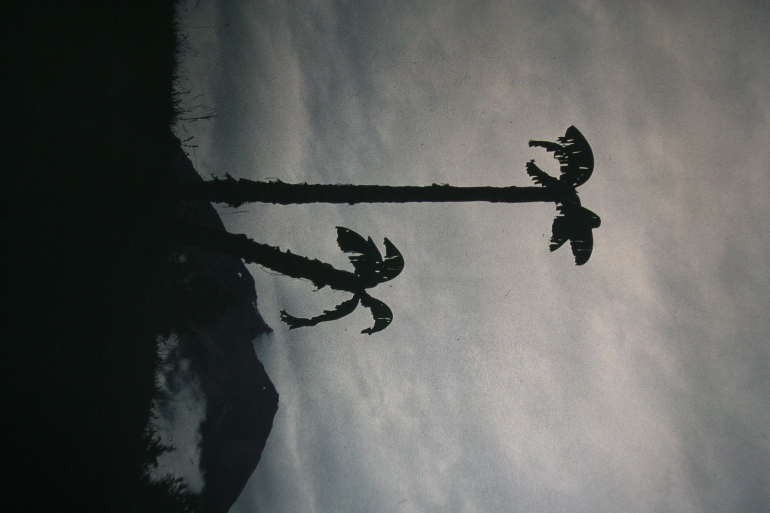 Bild 100