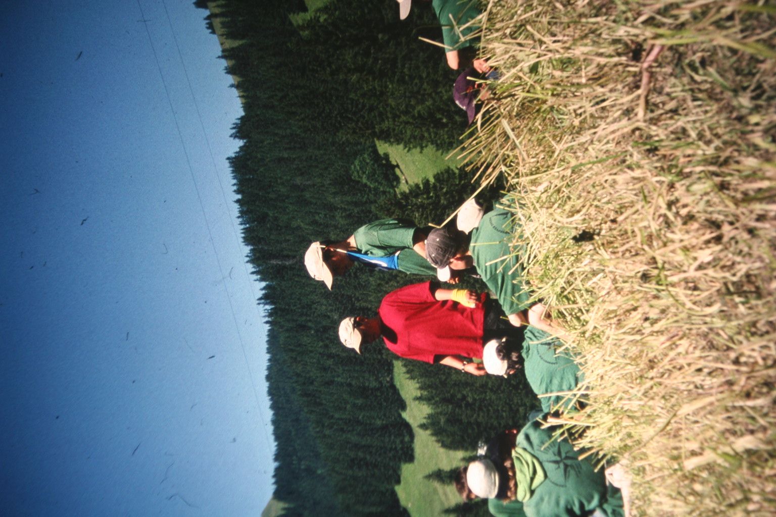Bild 2