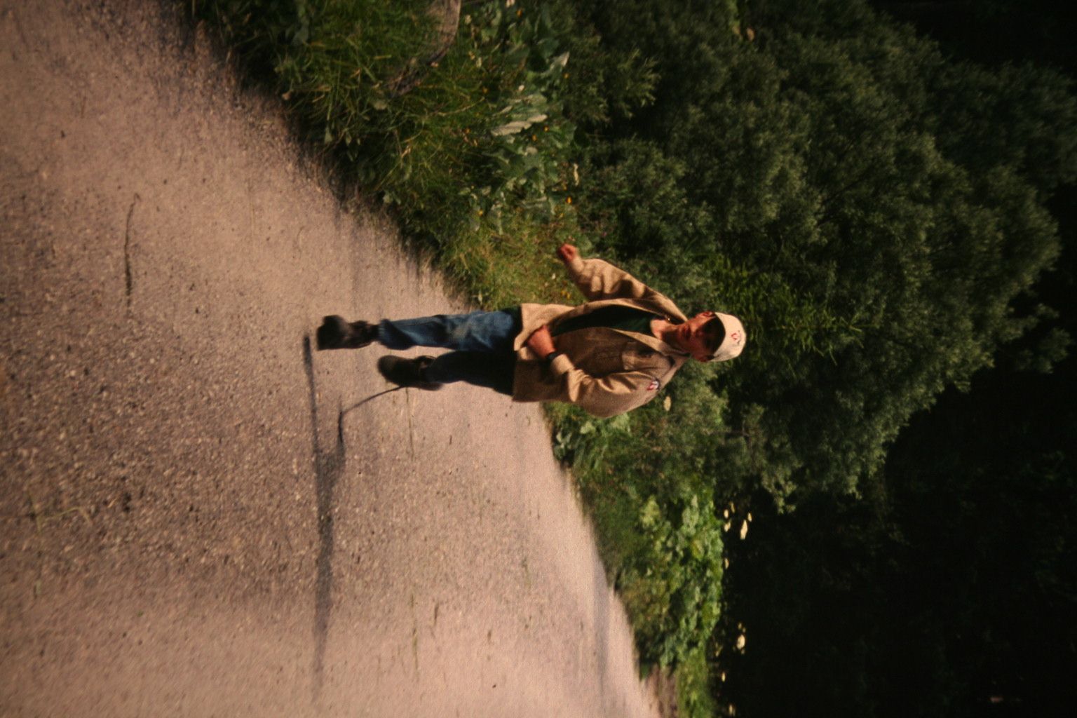 Bild 41