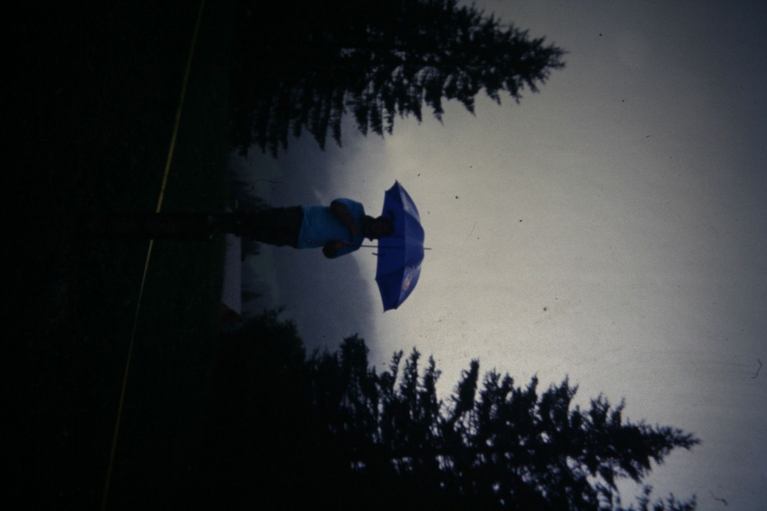 Bild 91