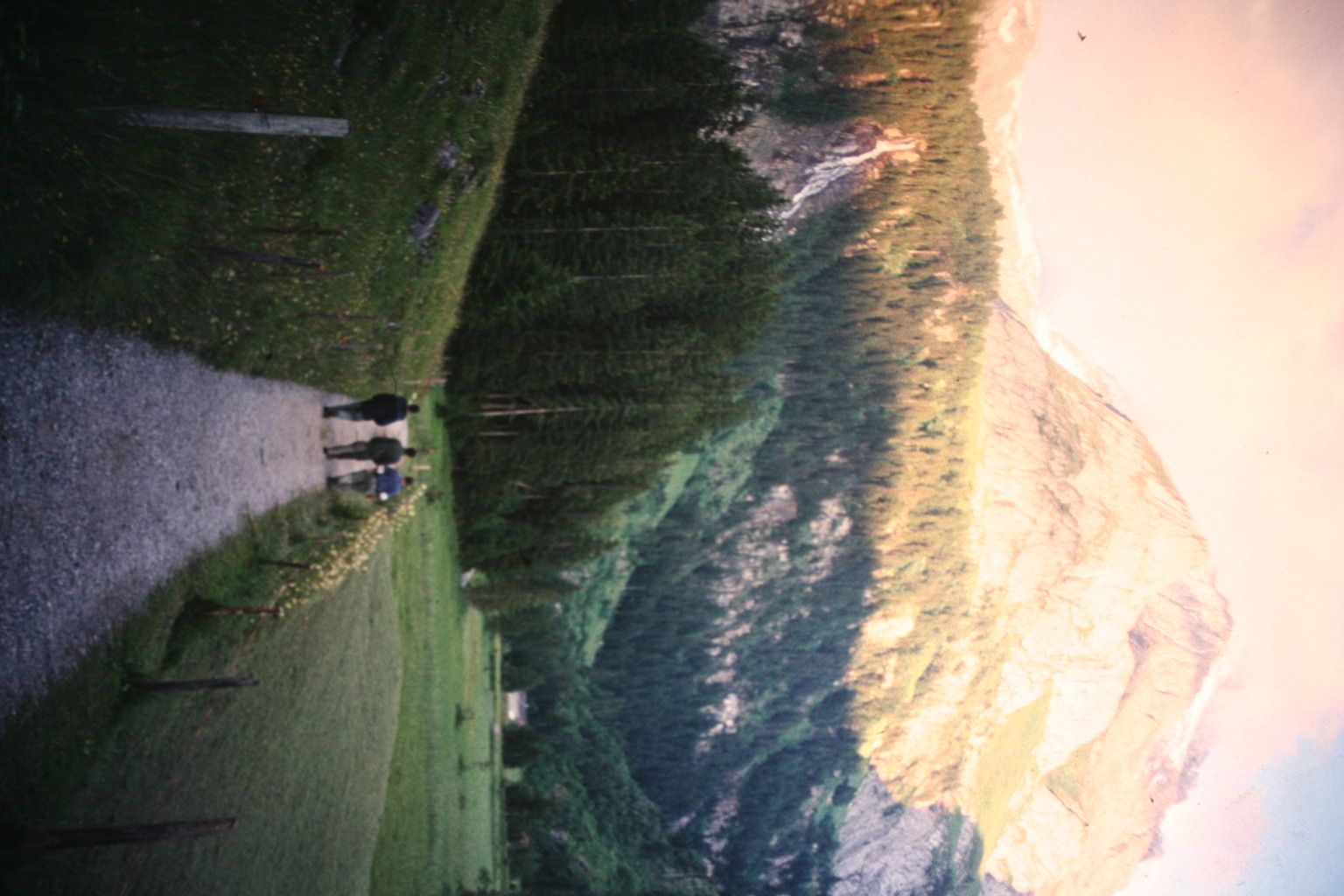 Bild 112