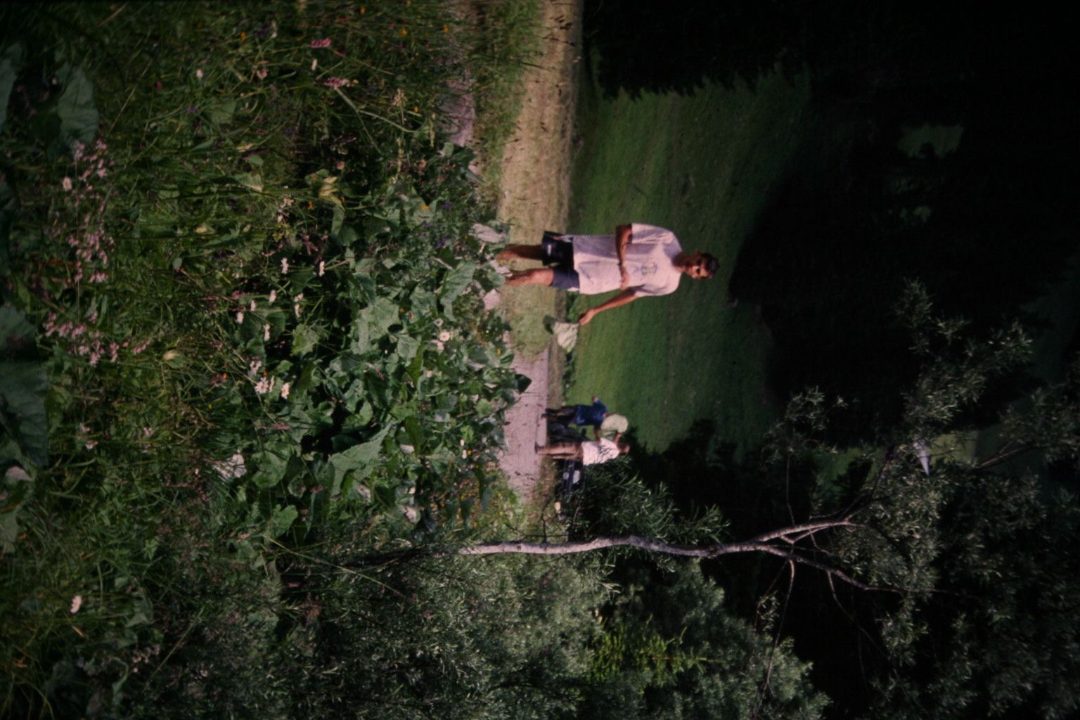 Bild 121