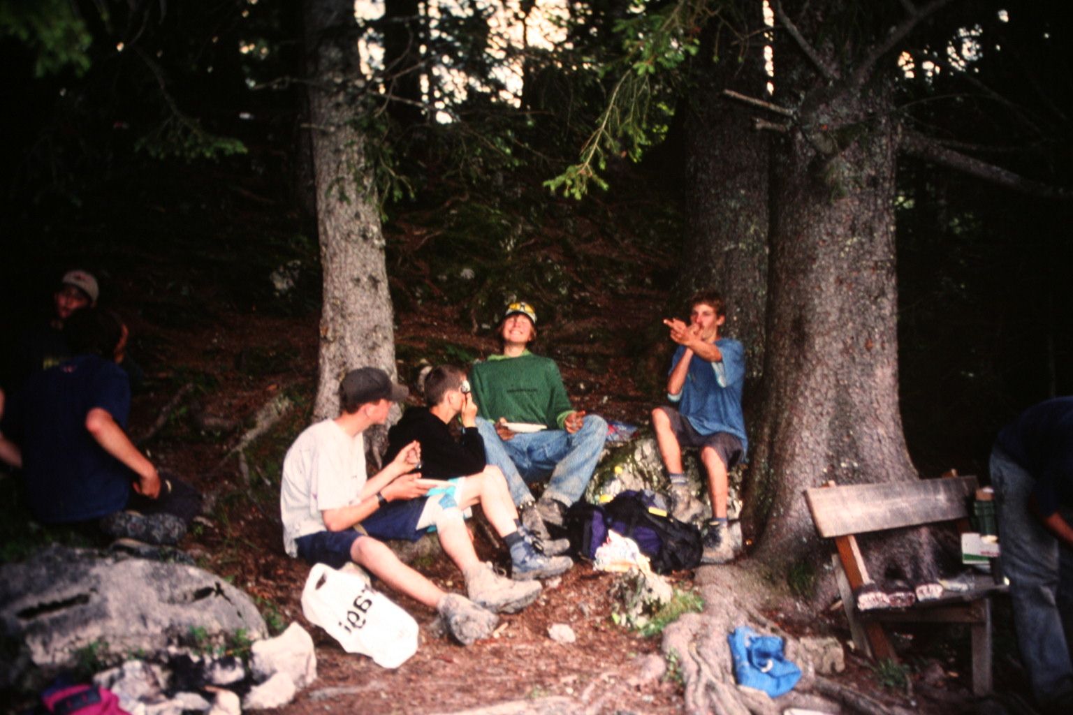 Bild 123