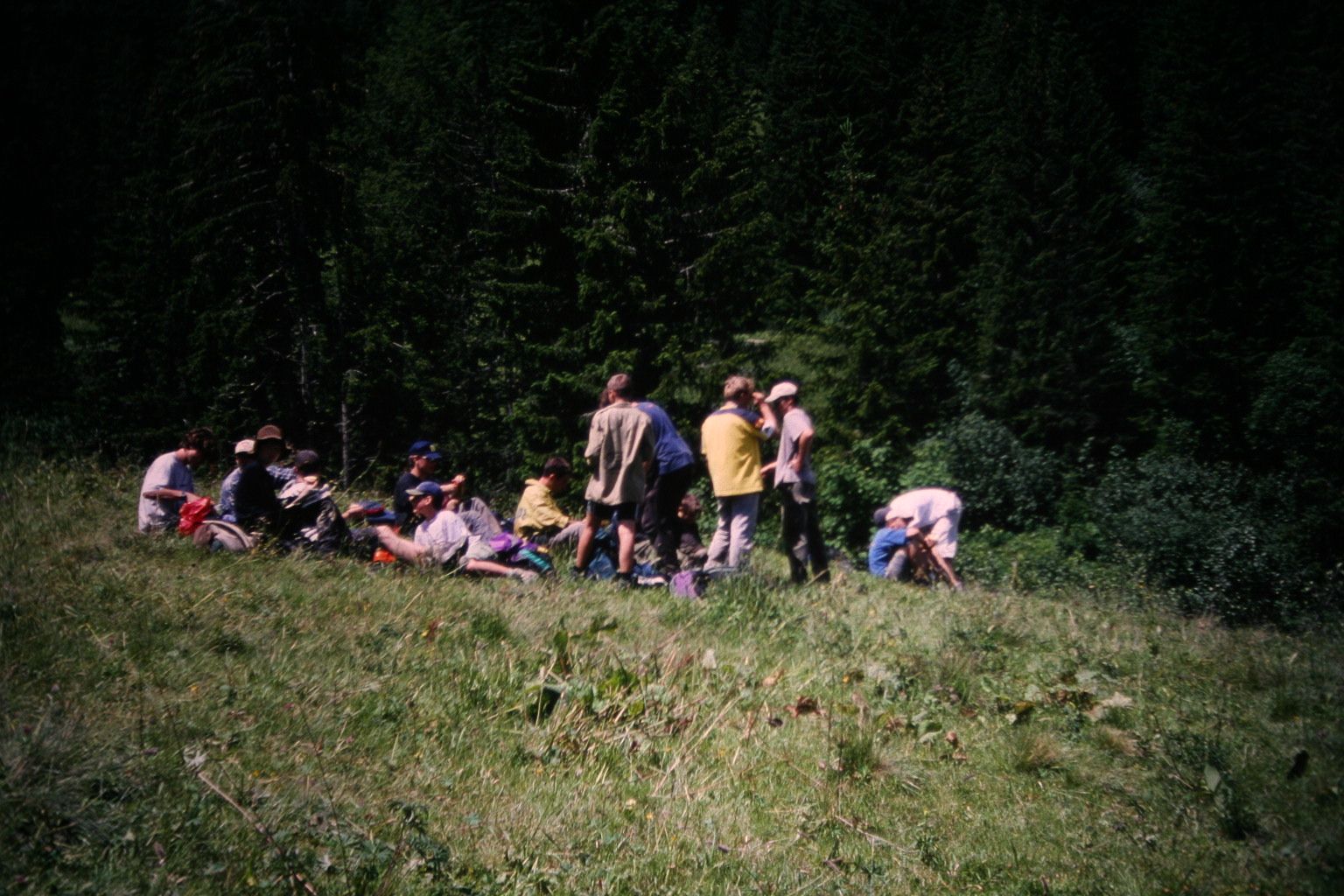 Bild 134
